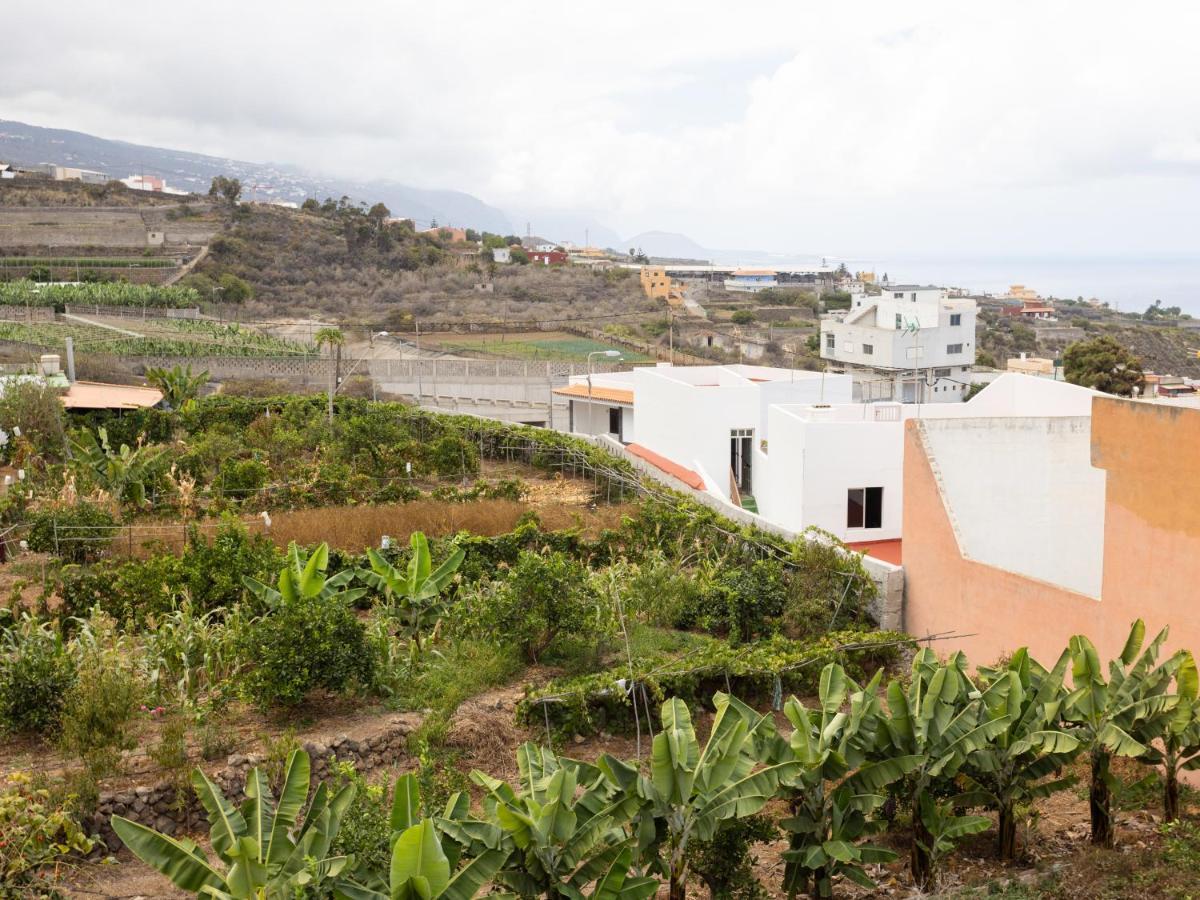 Live Icod Buen Paso Apartamento Icod De Los Vinos Exterior foto
